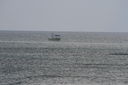 IMG_7138.JPG