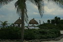 IMG_7163.JPG