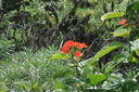 IMG_7169.JPG