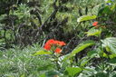 IMG_7170.JPG