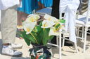 IMG_7269.JPG